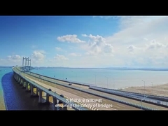 AC220V 50Hz Système de détection du poids en mouvement IP68